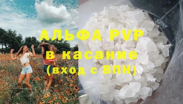 стаф Алексин