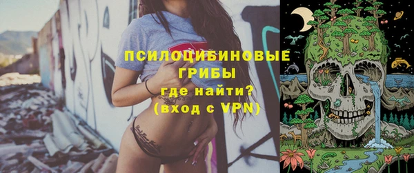 ГАЛЛЮЦИНОГЕННЫЕ ГРИБЫ Алзамай