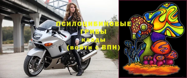 ГАЛЛЮЦИНОГЕННЫЕ ГРИБЫ Алзамай